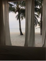 Guest_wadima2