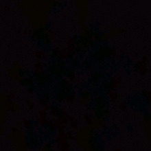 Guest_Lucas377848