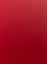 Guest_steeptangerineyea8da