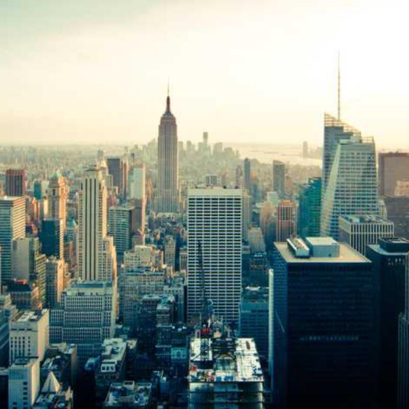 Guest_ireneeli325