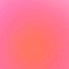 Guest_Adriana917153