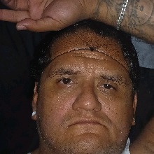 Guest_Jesse780761