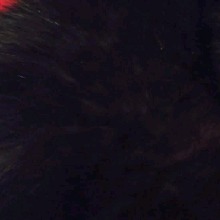 Portrait de l'avatar