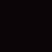LonighY