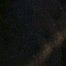 Guest_JesusMiguel8