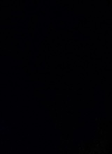 Guest_Malelexo