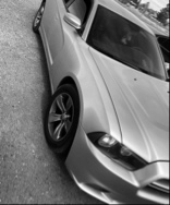 Guest_Daniel105292