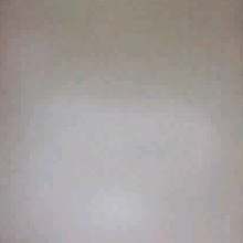 Guest_Mafer492712