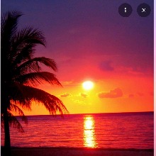 Guest_Pamela545621