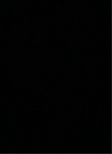 Guest_Samuel088