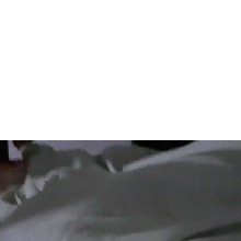 Guest_Ana412303