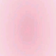 Guest_Niya209268
