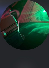 Guest_30Gang