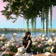 avatar picture