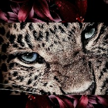 Guest_Anita167890
