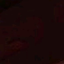 Guest_Hannah725579
