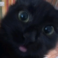Guest_pwettypwince