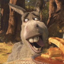 Guest_donkey88