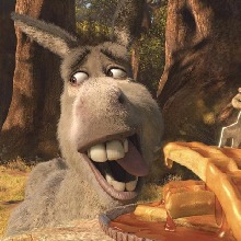 Guest_donkey88