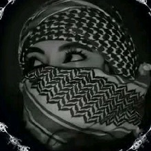 Guest_Noorhan5