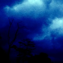 Guest_lucass1800
