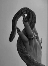 Guest_Yasmin144694