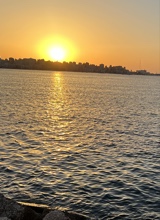 Guest_Mohammed45485