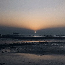 Guest_Axld