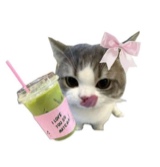 Guest_CherryBabyx1