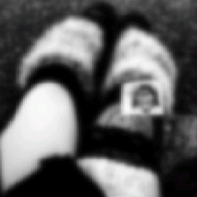 Guest_Dako31