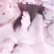 Guest_synxqi