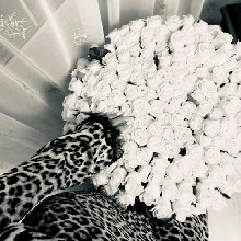 Guest_LeeeyDzzz