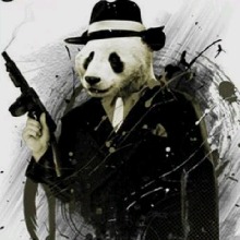 Guest_PANDA71962