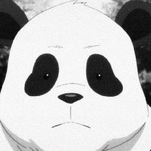 Guest_PANDA71962
