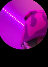 Guest_thisluhgalleryy