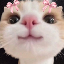 صورة الـavatar