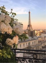 Guest_Safaalpb