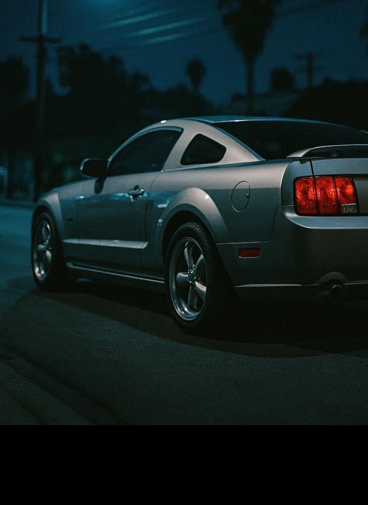 Guest_Torque4
