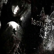 Guest_cenobitetrapstar