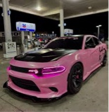 Guest_Armani115950