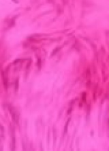 Guest_lisa979743