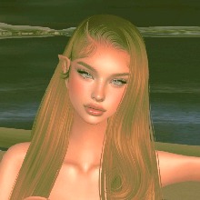 Guest_Sophie731596