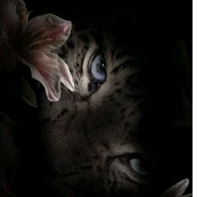 Guest_Isys48