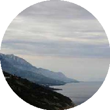 Guest_okovpzrbat