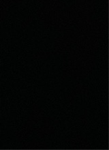 ThiagoGonalvez1