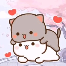 Guest_Love248