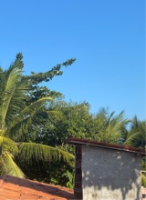 Guest_ana608354