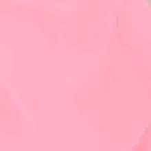 Guest_Ynxi