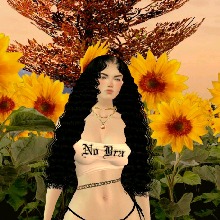 Guest_Fanny104463