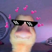 Guest_shinylanguidlavefea8